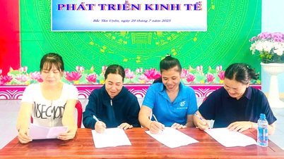 សហភាពស្ត្រី Bac Tan Uyen៖ គាំទ្រស្ត្រីក្នុងការអភិវឌ្ឍន៍សេដ្ឋកិច្ចតាមរយៈគំរូប្រាក់កម្ចី