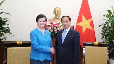 Phó Thủ tướng, Bộ trưởng Ngoại giao Bùi Thanh Sơn tiếp Đại sứ Campuchia Chea Kimtha