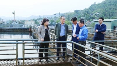 Thực thi pháp luật về bảo vệ môi trường