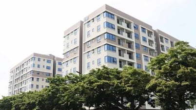 Bắc Ninh: Kiểm tra, xử lý thông tin rao bán nhà ở xã hội chưa được phép kinh doanh