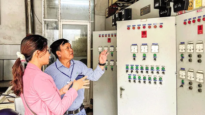 Trợ lực cho doanh nghiệp chuyển đổi xanh