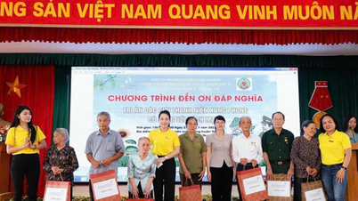 Doanh nhân Nguyễn Thị Ngân: Người kết nối cộng đồng doanh nghiệp đến tấm lòng từ thiện nơi đảo xa