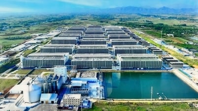 Đề xuất xin ý kiến Thủ tướng mô hình "chung cư nuôi lợn"