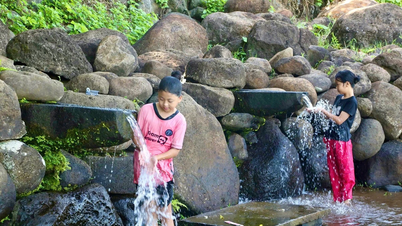 Mở rộng phát triển kinh tế vùng gò đồi ở Cồn Tiên