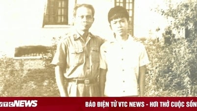 Xuất thân và học vấn đáng ngưỡng mộ của ông Hoàng Nam Tiến