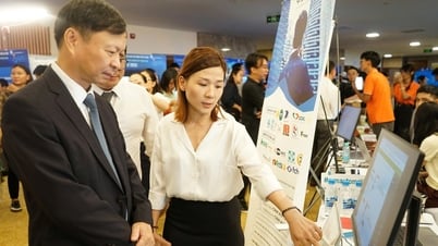 Đà Nẵng làm gì để trở thành bệ phóng cho kỳ lân công nghệ?