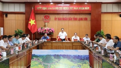 Ủy ban nhân dân tỉnh họp thường kỳ tháng 7 (phiên thứ nhất)