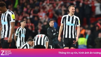 Newcastle nguy cơ bị trừng phạt