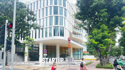 SIHUB: Không gian hỗ trợ khởi nghiệp đổi mới sáng tạo toàn diện