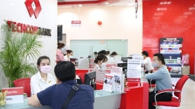يشير المفتشون إلى سلسلة من أوجه القصور في Techcombank Hue