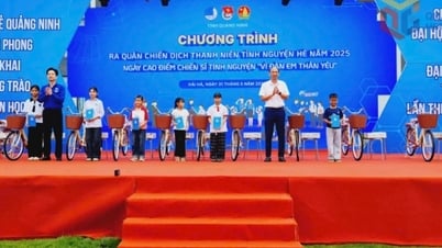 Chiến dịch tình nguyện hè: Lan tỏa yêu thương, kết nối cộng đồng
