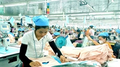 Bổ sung 51 thủ tục hành chính thuộc lĩnh vực quản lý doanh nghiệp của Sở Tài chính