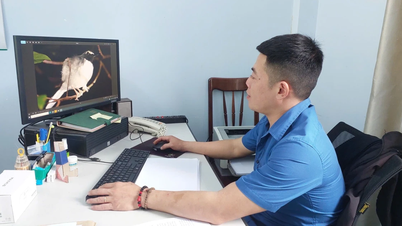 Vườn Quốc gia Kon Ka Kinh đẩy mạnh chuyển đổi số trong quản lý, bảo vệ rừng
