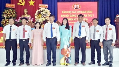 Đại hội Đảng bộ các Cơ quan Đảng xã Phú Tân nhiệm kỳ 2025 – 2030