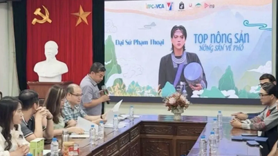 Bộ Công thương không bổ nhiệm, sử dụng cá nhân nào làm “Đại sứ”
