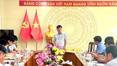 Lâm Đồng: Đẩy mạnh xây dựng chuỗi liên kết sản xuất đến tiêu thụ thanh long an toàn