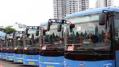 TPHCM: Đưa vào hoạt động 27 tuyến xe buýt điện từ ngày 1-8