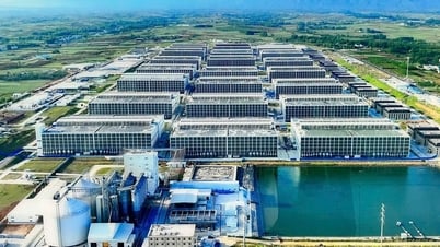 Xin ý kiến Thủ tướng cho làm mô hình 'chung cư nuôi heo' ở Việt Nam