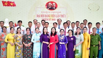 Đại hội Đảng bộ các Cơ quan Đảng xã Đông Thái nhiệm kỳ 2025 - 2030