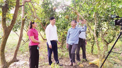 Khơi thông “dòng chảy” tín dụng chính sách