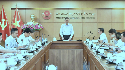 Triển khai đào tạo, bồi dưỡng nguồn nhân lực phục vụ phát triển điện hạt nhân
