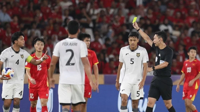Malaysia, Indonesia và mặt trái của chính sách nhập tịch