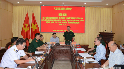 Quang Ngai province cooperates in responding to incidents, natural disasters, and search and rescue in 2025
