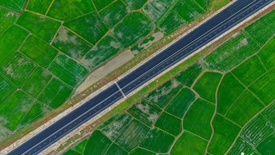 Admire the 17,800 billion VND highway, running through the beautiful green fields