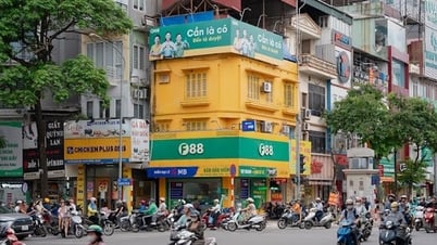F88 kinh doanh ra sao trong quý II/2025?