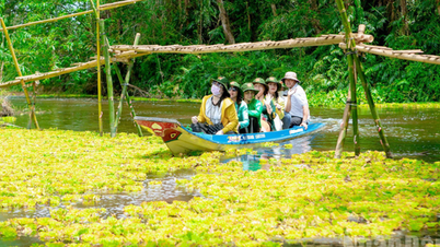 Cần Thơ: Phát triển du lịch bền vững gắn với bảo tồn thiên nhiên