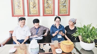 Tổng điều tra nông thôn, nông nghiệp: Gắn tiến độ với chất lượng thông tin