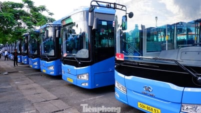 TPHCM chính thức vận hành 35 tuyến xe buýt có trợ giá, trong đó có 27 tuyến xe điện