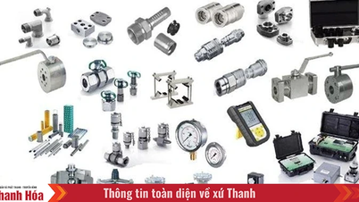 IHM – Nhà cung cấp thiết bị công nghiệp uy tín cho xe chuyên dụng tại Việt Nam