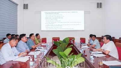 Gỡ vướng về quy hoạch lâm nghiệp cho các dự án trong Khu Kinh tế Vân Phong