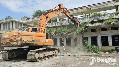 Au 31 juillet, plus de 90 hectares de terres avaient été défrichées dans le parc industriel Bien Hoa 1.
