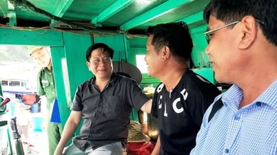 Chủ tịch UBND tỉnh An Giang kiểm tra tình hình chống khai thác IUU tại Đặc khu Phú Quốc