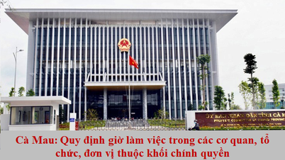 Cà Mau: Quy định giờ làm việc trong các cơ quan, tổ chức, đơn vị thuộc khối chính quyền