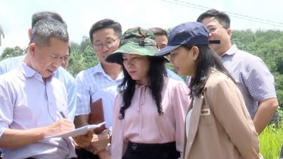 Khảo sát vị trí xây dựng trường nội trú tại các xã biên giới tỉnh Lâm Đồng