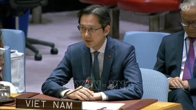 Việt Nam tái khẳng định ủng hộ giải pháp hai Nhà nước tại hội nghị quốc tế về vấn đề Palestine