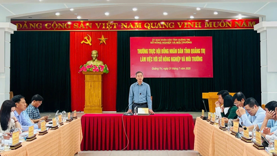 Thường trực Hội đồng nhân dân tỉnh làm việc với Sở Nông nghiệp và Môi trường