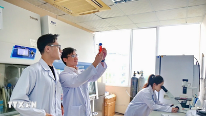 Tháo gỡ rào cản, thúc đẩy phát triển doanh nghiệp khoa học và công nghệ