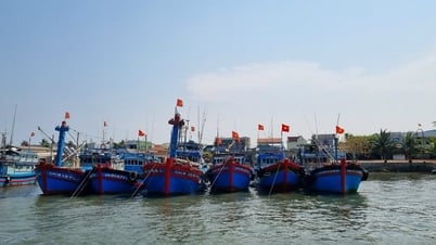 Quảng Ngãi vẫn còn những tồn tại trong chống khai thác IUU
