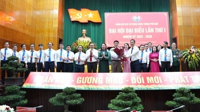 Phó Bí thư Thường trực Thành ủy Phạm Đức Tiến được chỉ định giữ chức Bí thư Đảng ủy