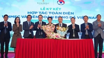 VFF bắt tay Vinmec đưa y học thể thao Việt Nam vươn tầm châu Á