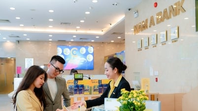 Ngân hàng muốn bán đấu giá trăm nghìn m2 đất để thu hồi nợ xấu