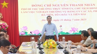 Phó Bí thư Thường trực Tỉnh ủy An Giang làm việc với 3 xã, phường