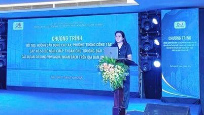 Nâng cao năng lực về quản lý đầu tư cho cán bộ UBND các xã, phường