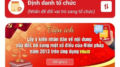 ផ្តល់យោបល់របស់អ្នកលើសេចក្តីព្រាងវិសោធនកម្ម និងបន្ថែមលើមាត្រាមួយចំនួននៃរដ្ឋធម្មនុញ្ញឆ្នាំ 2013 តាមរយៈកម្មវិធី VneID