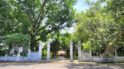 Thanh Hóa chủ động trao quyền, gìn giữ bản sắc từ cơ sở
