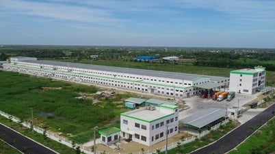 Tăng cường thu hút đầu tư vào khu công nghiệp